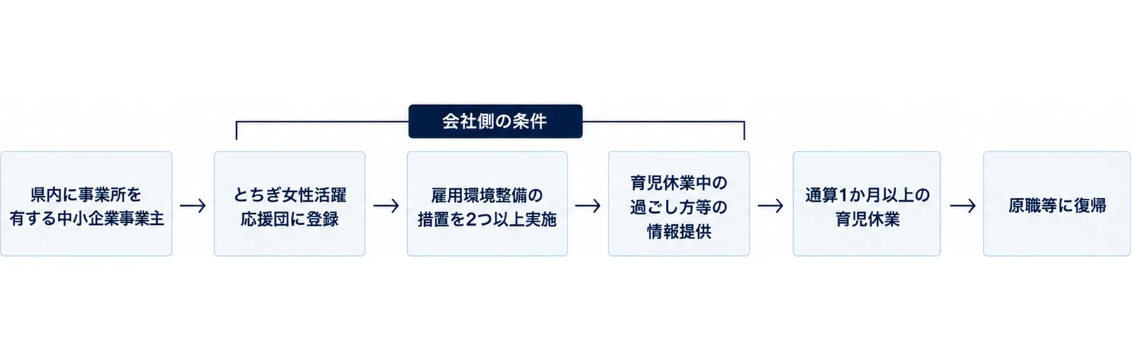 県内に事業所を有する中小企業事業主、とちぎ女性活躍応援団への登録、雇用環境整備の措置2つ以上、情報提供、通算1か月以上の育児休業を経て原職等に復帰するまでの条件を並べた図